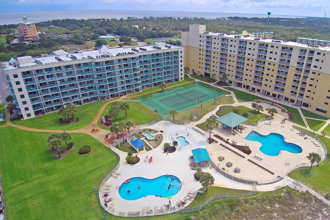 Plantation Palms