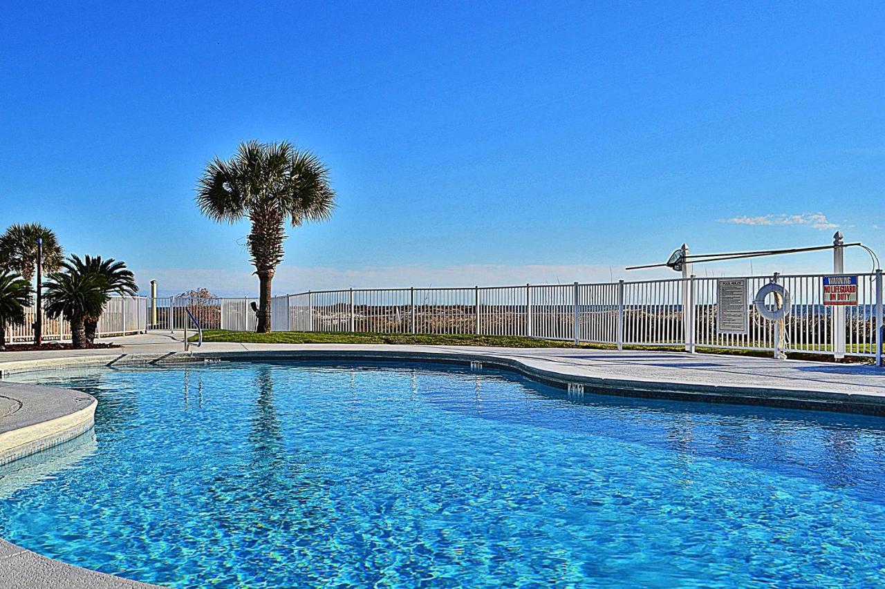 Plantation Palms