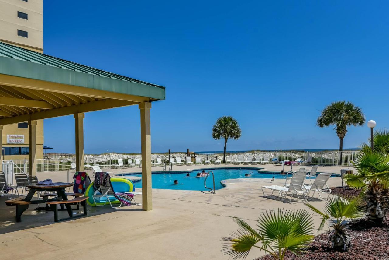 Plantation Palms *